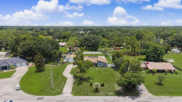 29311 CHANDLER TRACE, Wesley Chapel, FL 33545