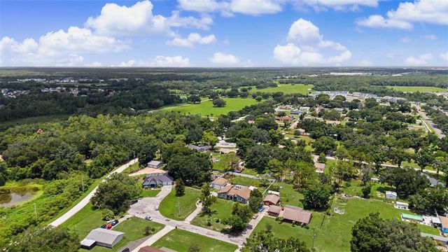 29311 CHANDLER TRACE, Wesley Chapel, FL 33545