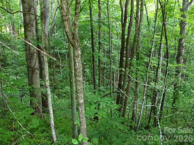 00 Sage Lane 4, Waynesville, NC 28785