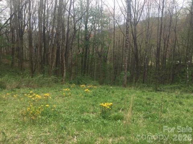 00 Sage Lane 4, Waynesville, NC 28785