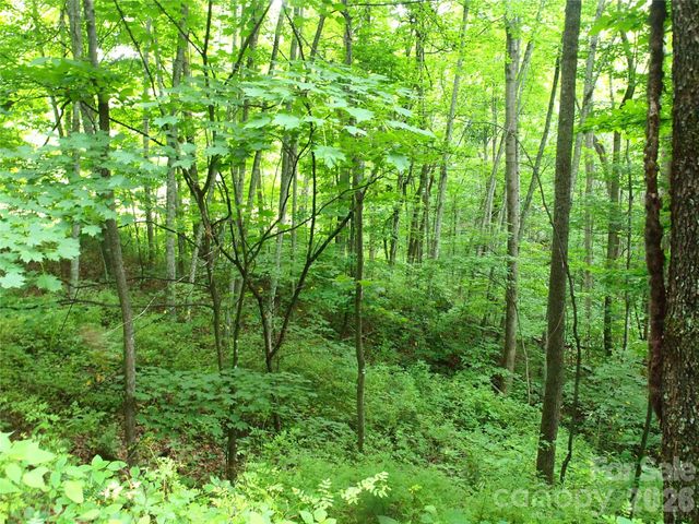 00 Sage Lane 4, Waynesville, NC 28785