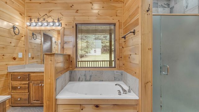 661 Toccoa River Forest, Mineral Bluff, GA 30559