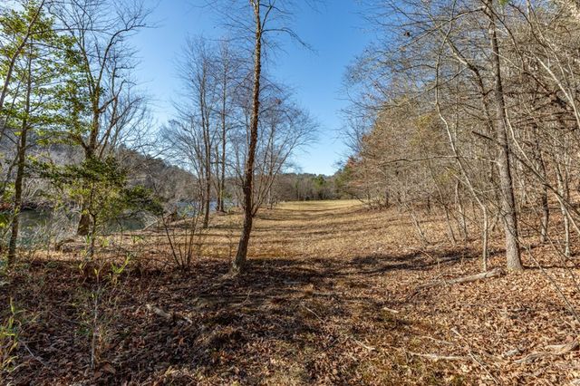 661 Toccoa River Forest, Mineral Bluff, GA 30559