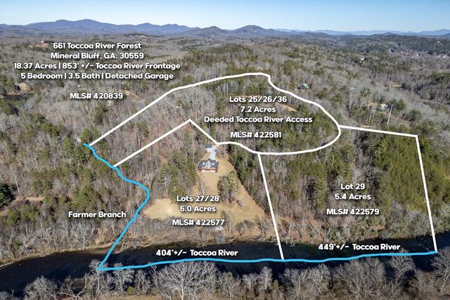 661 Toccoa River Forest, Mineral Bluff, GA 30559