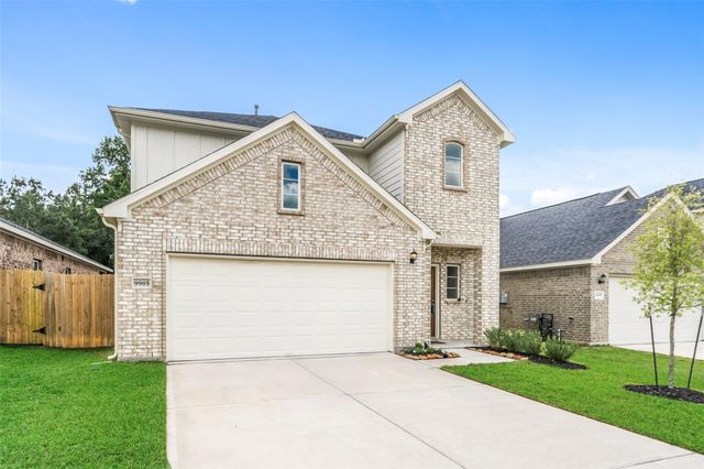 9985 Mountain Lion Lane, Magnolia, TX 77354