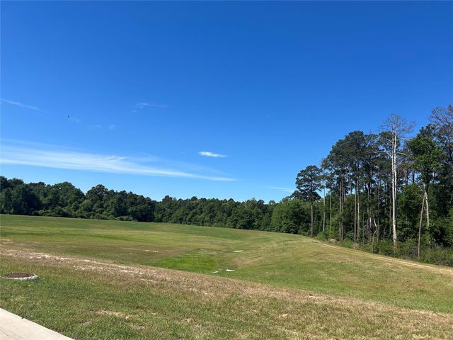 9985 Mountain Lion Lane, Magnolia, TX 77354