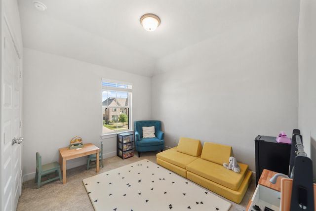 30219 Aralia Drive, Fulshear, TX 77423