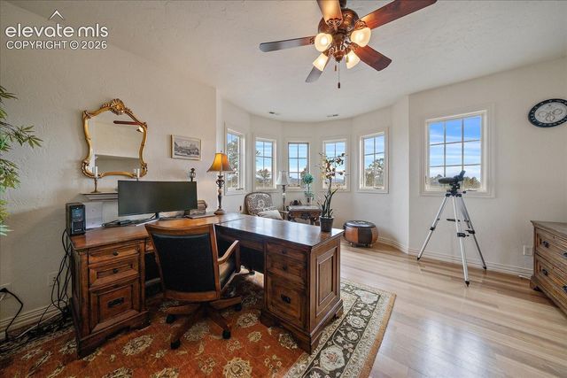 1175 Castle Pointe Drive, Castle Rock, CO 80104