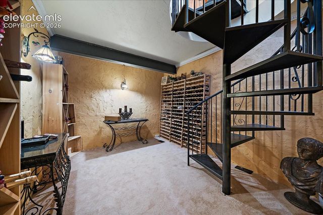 1175 Castle Pointe Drive, Castle Rock, CO 80104