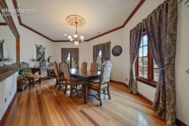 1175 Castle Pointe Drive, Castle Rock, CO 80104