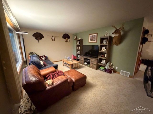 272 S 5 Mile Road, Homer Twp, MI 48640