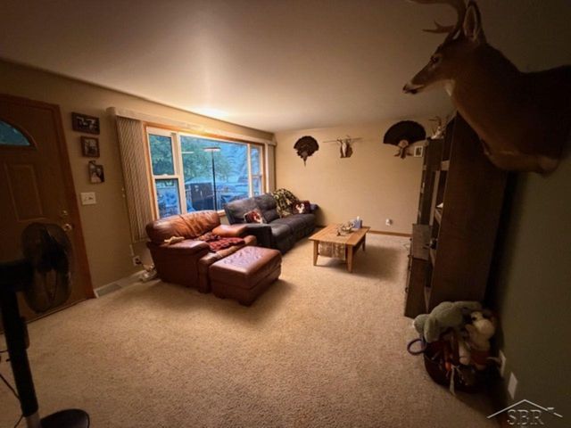 272 S 5 Mile Road, Homer Twp, MI 48640