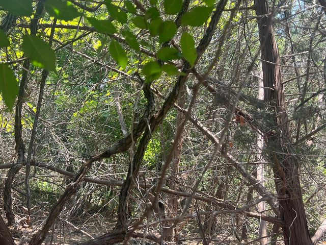 5.04 Acres Mourning Dove LN, Lampasas, TX 76550