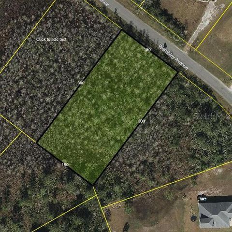 WEMBLEY AVENUE, Orlando, FL 32833