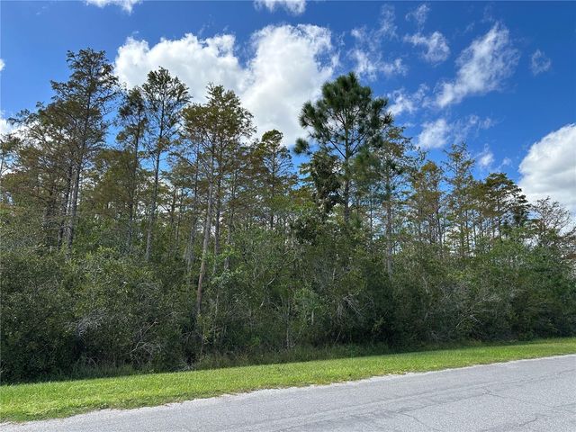 WEMBLEY AVENUE, Orlando, FL 32833