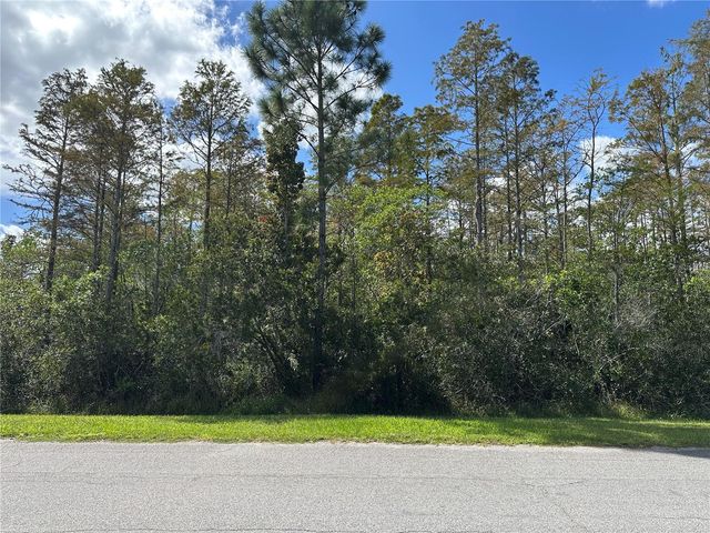 WEMBLEY AVENUE, Orlando, FL 32833