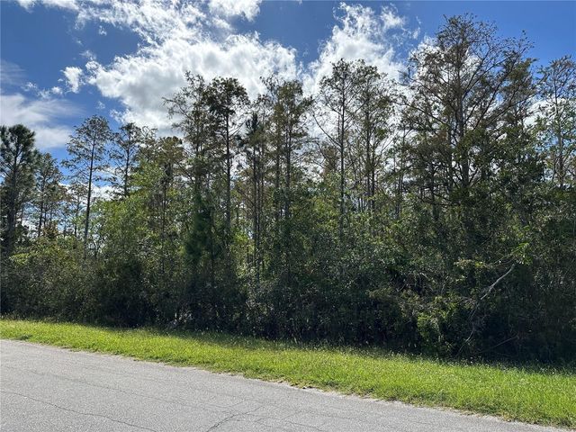 WEMBLEY AVENUE, Orlando, FL 32833