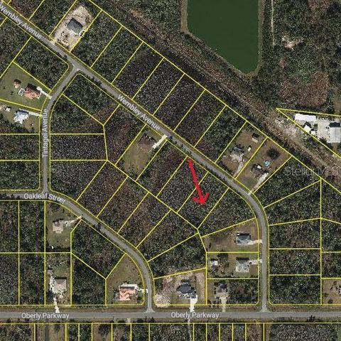 WEMBLEY AVENUE, Orlando, FL 32833