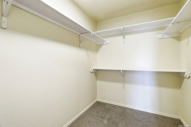 2920 Mineral Springs, Schertz, TX 78108