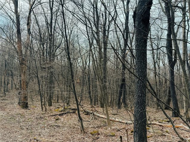 Lot F-1 Fern Mountain Rd, Donegal, PA 15501