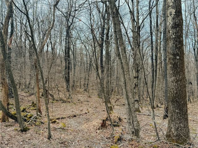 Lot F-1 Fern Mountain Rd, Donegal, PA 15501