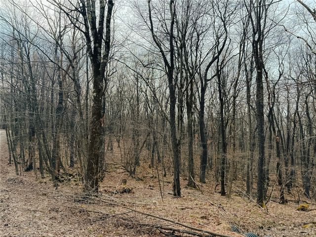 Lot F-1 Fern Mountain Rd, Donegal, PA 15501