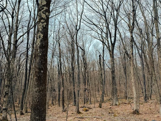 Lot F-1 Fern Mountain Rd, Donegal, PA 15501