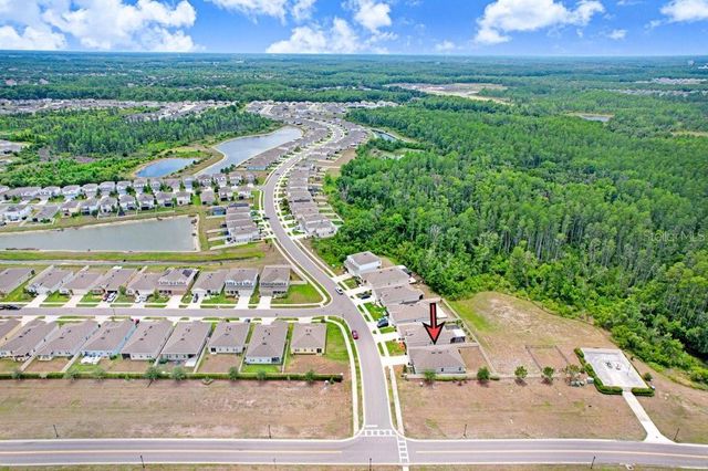 10677 GLIDING EAGLE WAY, Land O Lakes, FL 34638