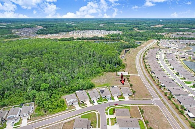 10677 GLIDING EAGLE WAY, Land O Lakes, FL 34638