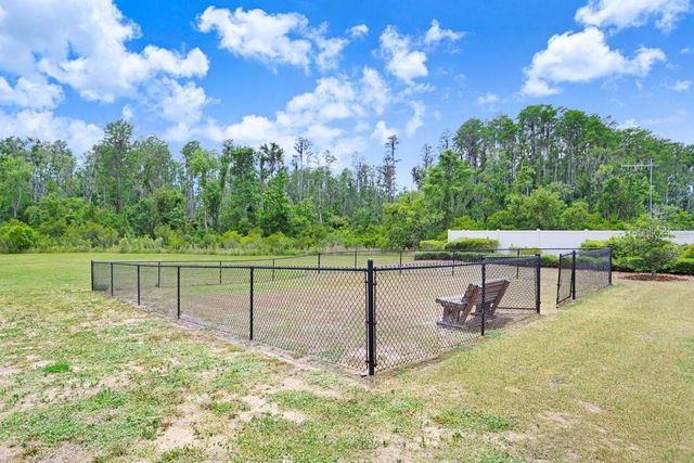 10677 GLIDING EAGLE WAY, Land O Lakes, FL 34638