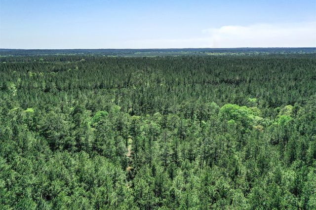 TBD Queen Anne Way, Huntsville, TX 77340