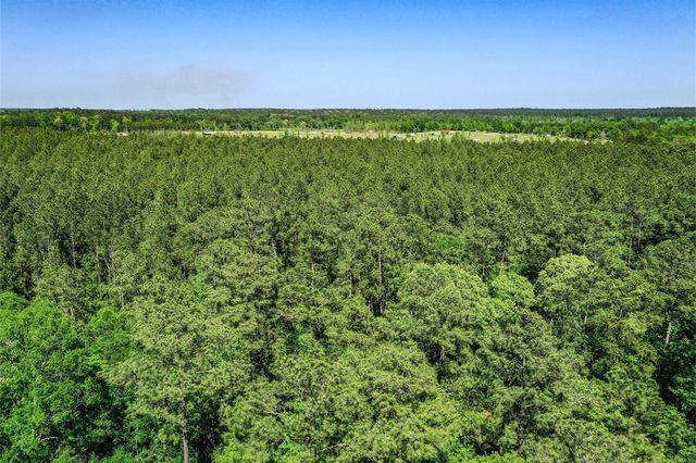 TBD Queen Anne Way, Huntsville, TX 77340