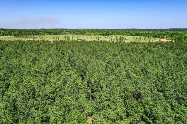 TBD Queen Anne Way, Huntsville, TX 77340