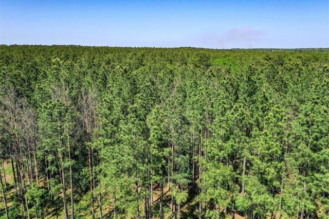 TBD Queen Anne Way, Huntsville, TX 77340