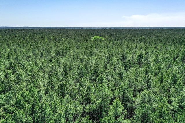 TBD Queen Anne Way, Huntsville, TX 77340