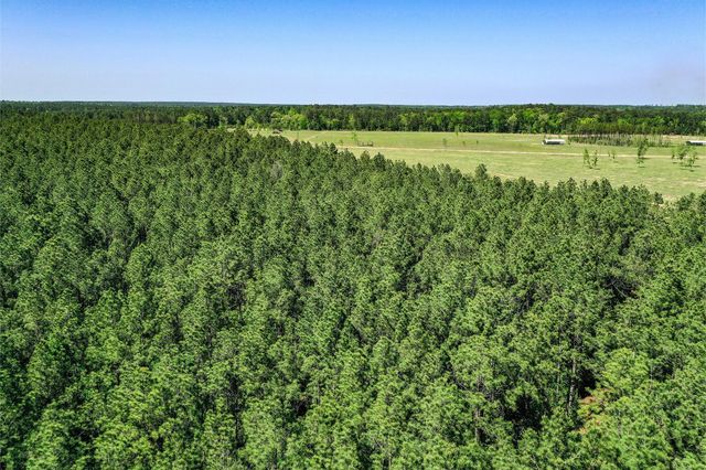 TBD Queen Anne Way, Huntsville, TX 77340