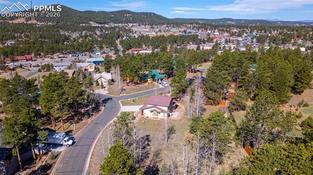 620 Skyline Drive, Woodland Park, CO 80863