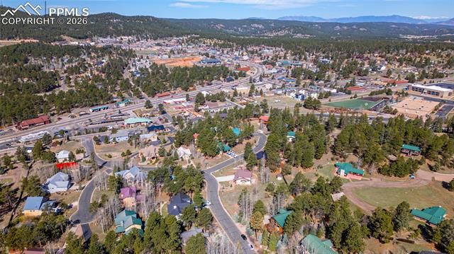 620 Skyline Drive, Woodland Park, CO 80863