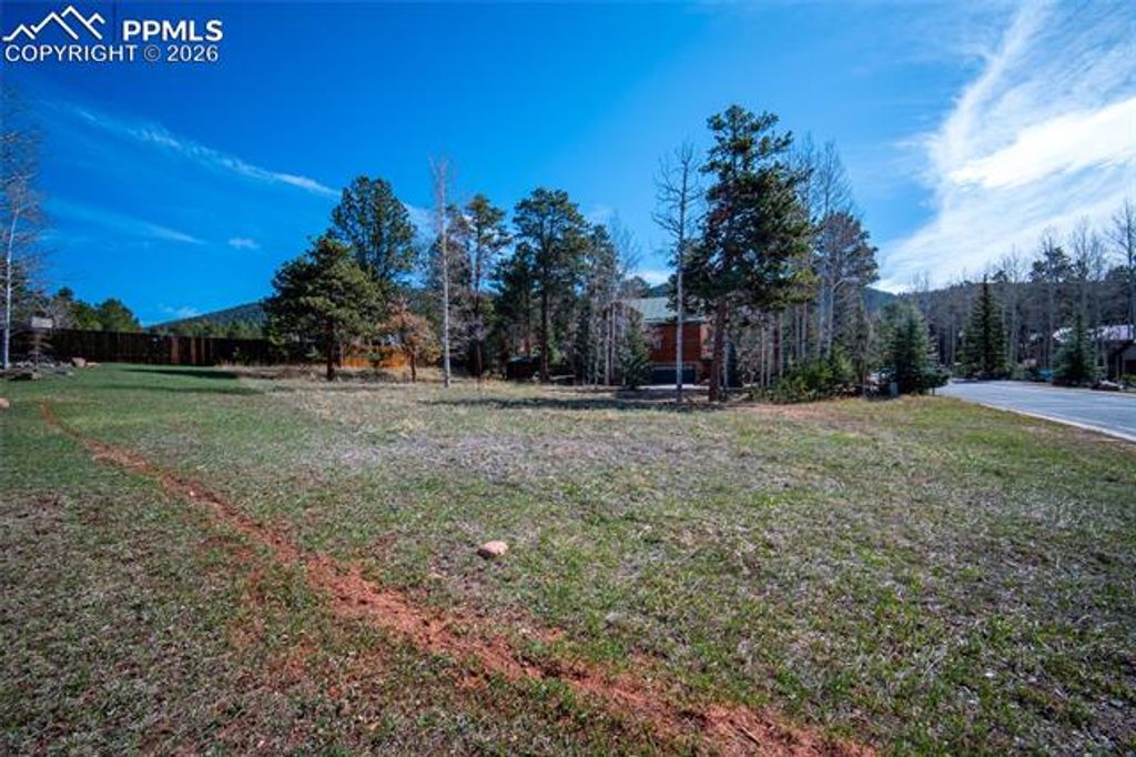 620 Skyline Drive, Woodland Park, CO 80863 — photo 3
