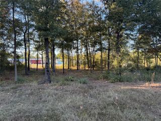 Lot 4 Rollingrock Drive, Livingston, TX 77351