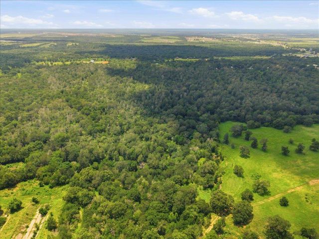 TBD Fawn Ridge RD, Cedar Creek, TX 78612