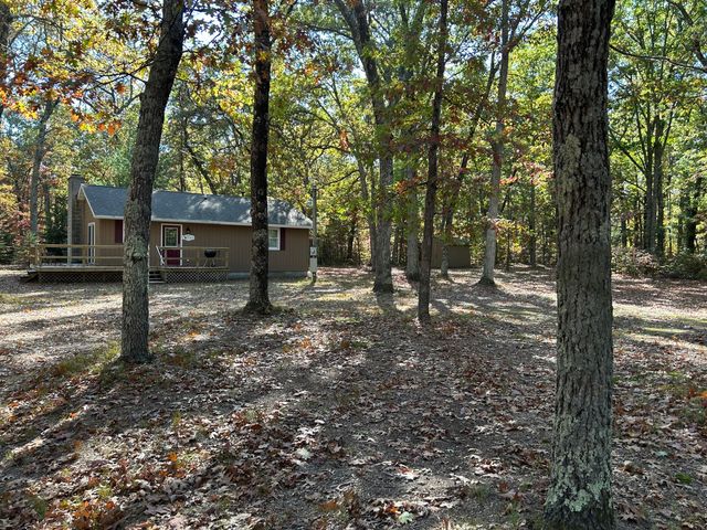 12901 S Star Lake Drive, Baldwin, MI 49304