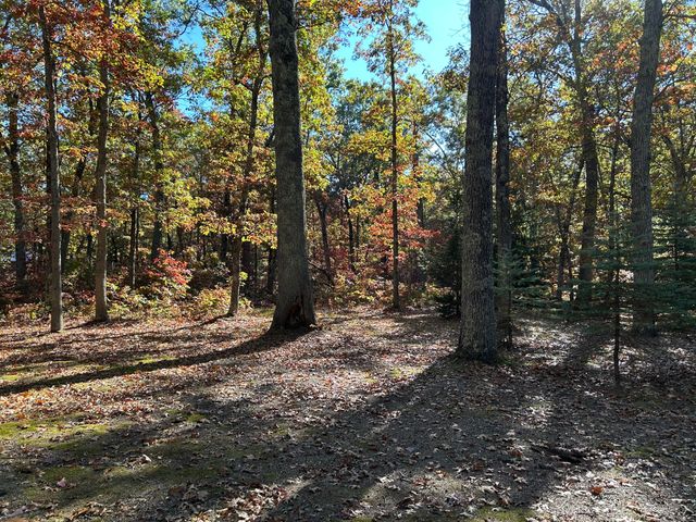 12901 S Star Lake Drive, Baldwin, MI 49304