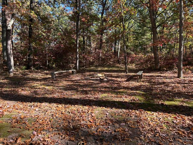 12901 S Star Lake Drive, Baldwin, MI 49304