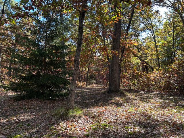 12901 S Star Lake Drive, Baldwin, MI 49304