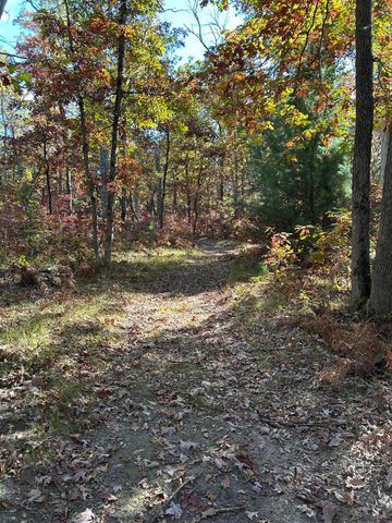 12901 S Star Lake Drive, Baldwin, MI 49304