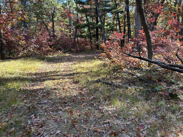 12901 S Star Lake Drive, Baldwin, MI 49304