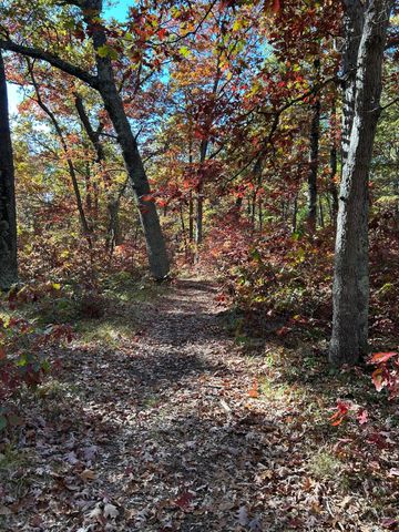 12901 S Star Lake Drive, Baldwin, MI 49304