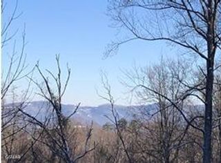 Lot 21 Wild Azalea Lane, Sevierville, TN 37862