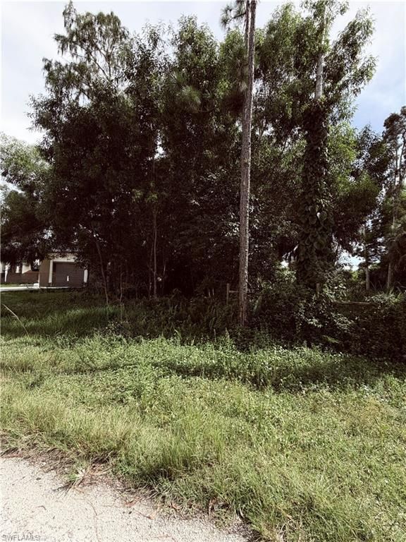 3060 pinetree DR, NAPLES, FL 34112 — photo 2